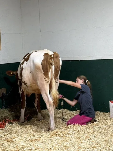 Girl clipping her calf