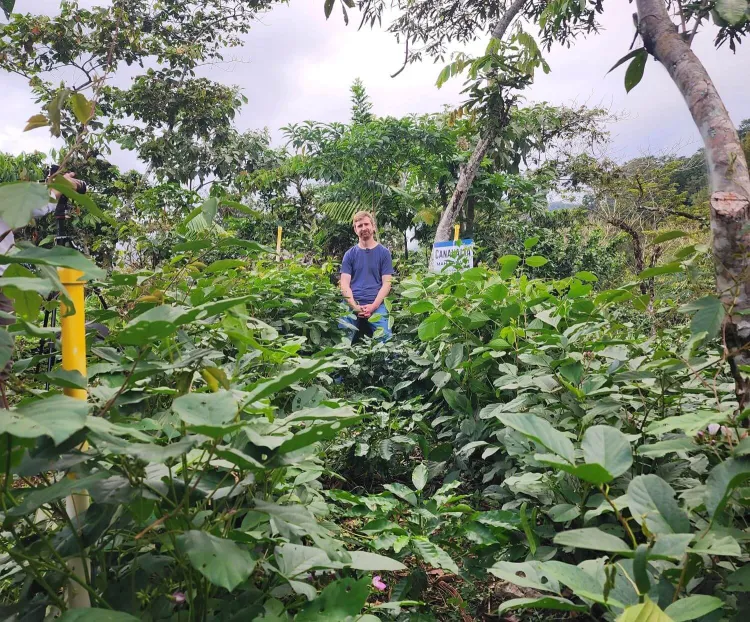A man in a blue t-shirt stands in the middle of a lush green environment.