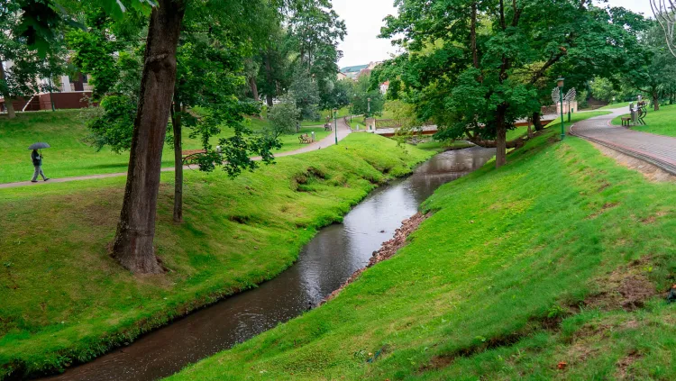 stream flows through an urban park