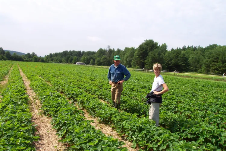 Two white people, a young blonde woman and an older man, stand in rows of crops in a long field.