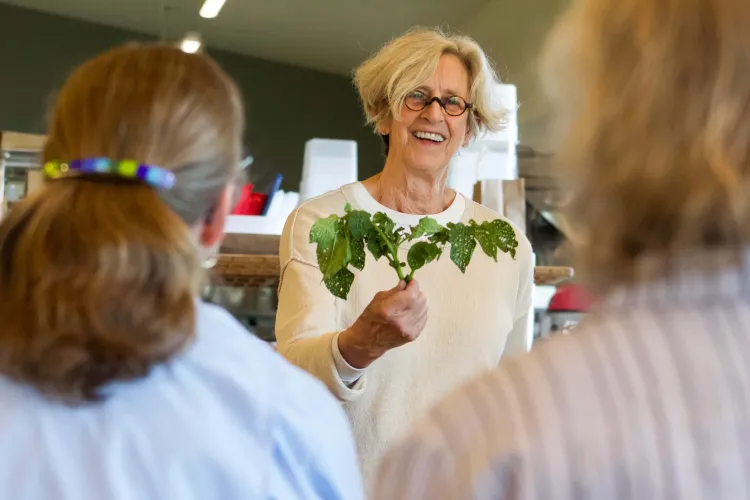 A white woman with ear-length blonde hair and glasses smiles while holding up a green plant cutting with a lot of holes in it. More people are seen from the back, sitting in front of the woman.