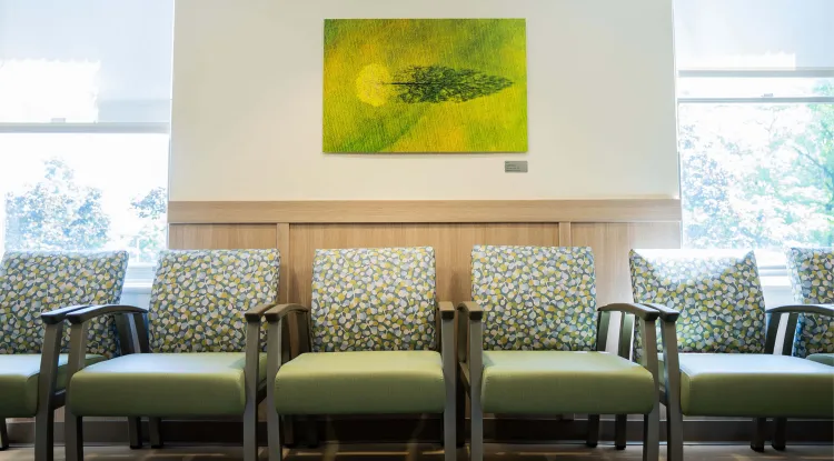 a row of waiting room chairs with a pretty green picture on the wall above them
