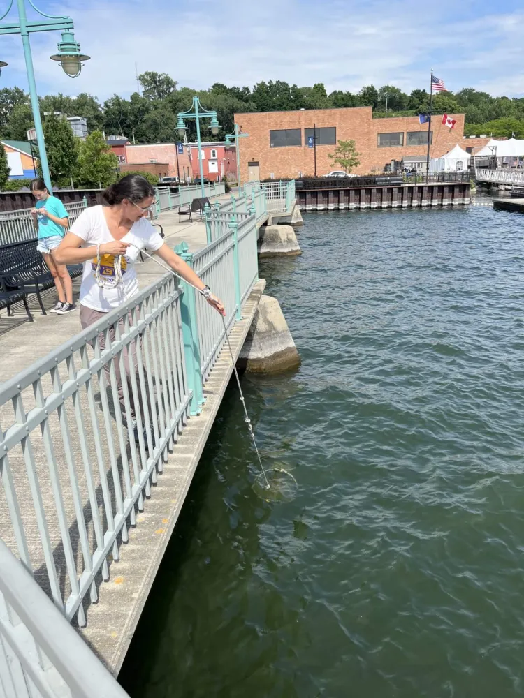 A student leans over the pier to collect a small aquatic species