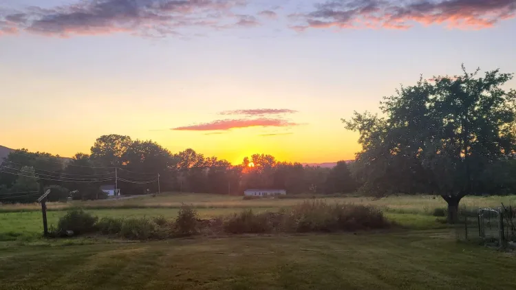 Sunset over a rural field, with trees silhouetted against a golden sky and pink clouds overhead.