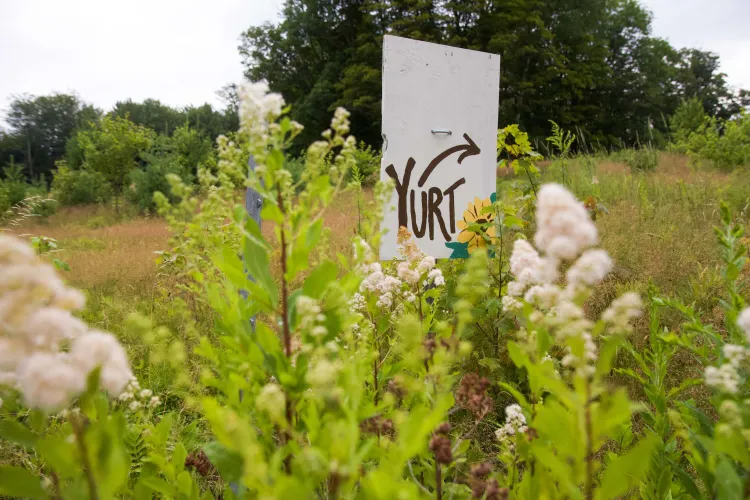A handpainted sign reading "yurt" with a curved arrow to the right stands amid flowers and grasses in a field surrounded by trees.