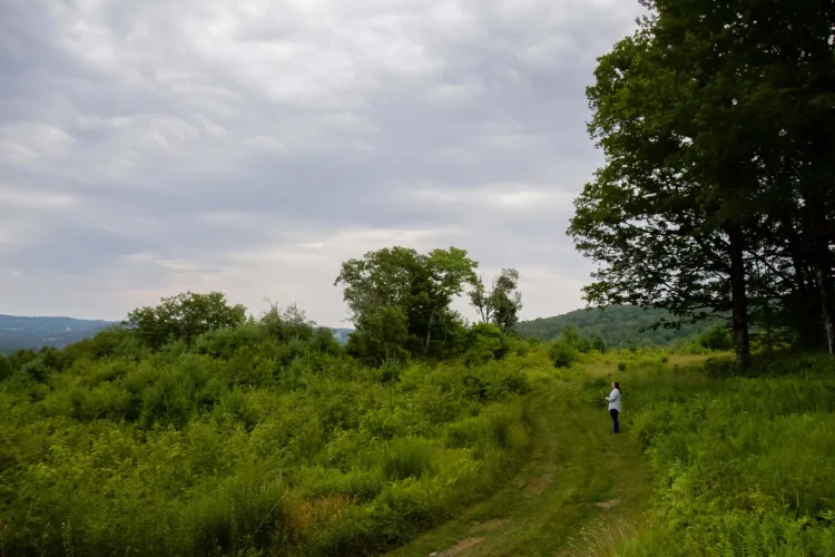 A woman with light skin and a grey braid stands on a mown path in a clearing surrounded by ferns. A tree stands on one side, and an open view of mountains is on the other.
