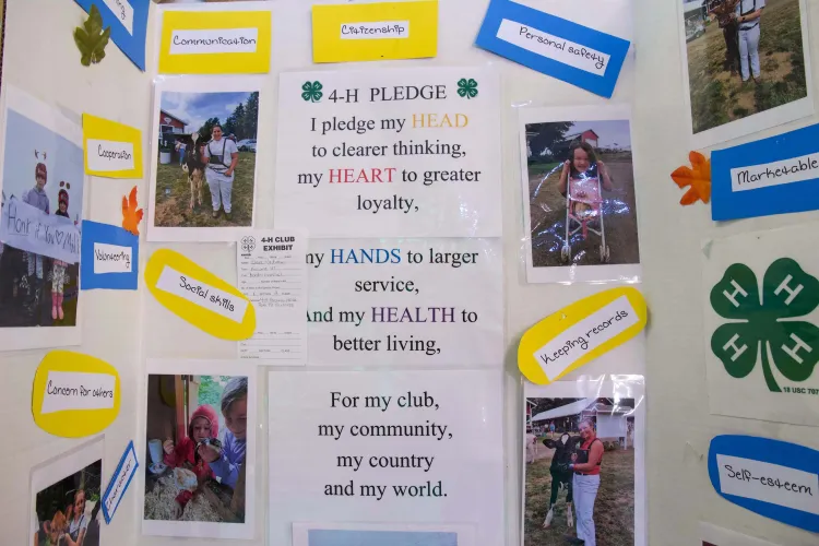 A poster with text reading "4-H Pledge: I pledge my HEAD to clearer thinking, my HEART to greater loyalty, my HANDS to larger service, and my HEALTH to better living, for my club, my community, my country and my world." Around the text are photos of youth and animals and individual phrases like "communication" and "citizenship" and "social skills."