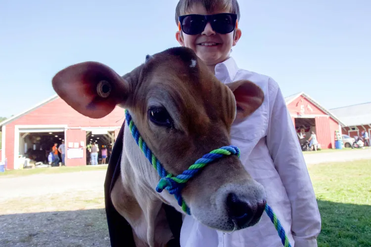 A boy with a button down white shirt and large black sunglasses smiles into the camera with a light brown calf in a blue and green rope halter. They're standing in front of red barns on a sunny, blue sky day.