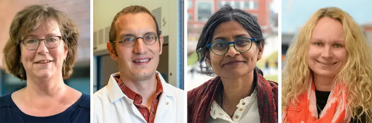 Kristen Underwood, Matthew Scarborough, Bindu Pannikar, and Jana Kraft