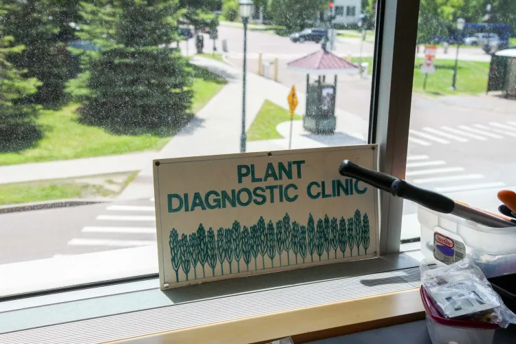 A green and white sign reading "plant diagnostic clinic" in a window above a college campus. 