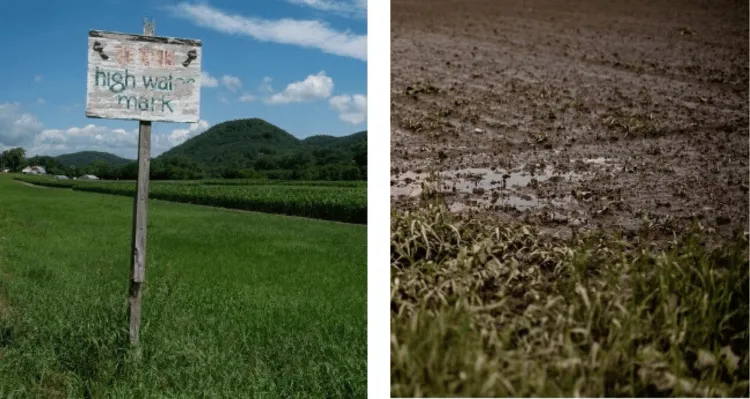 image on the left: A sign in a grassed area with an agricultural field and mountains in the background. The sign says "high water mark" with two arrows pointing up and out from the text. The sign looks to be about 4 feet tall and is very worn.; Image on the right:A close-up of a muddy field with some small, stagnant water pools. The field has some grass in the foreground, and 4 barns in the distant background. In the middle-ground there are very few signs of growth, mostly mud.