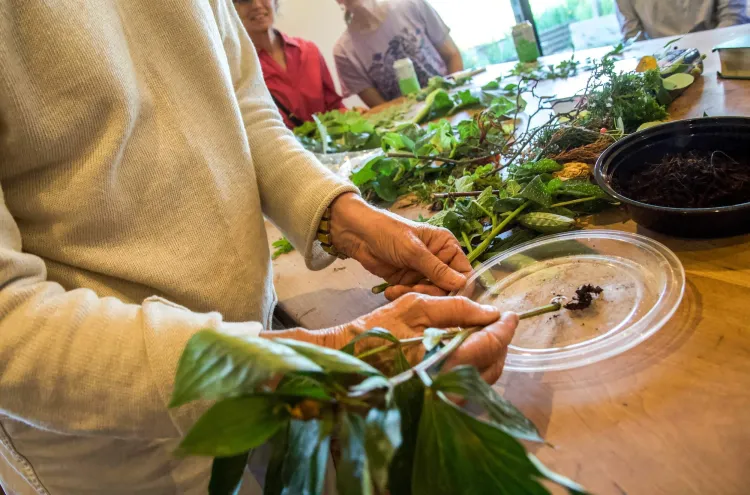 A person in a white sweater holding a plant cutting and poking the end of it into a worm in some soil on a clear plastic tray. Behind the tray are more plant cuttings on a wooden table.