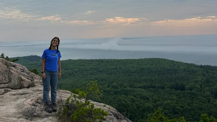 A person in a blue shirt stands on a rocky overlook overlooking a dense green forest and a large body of water at sunset.