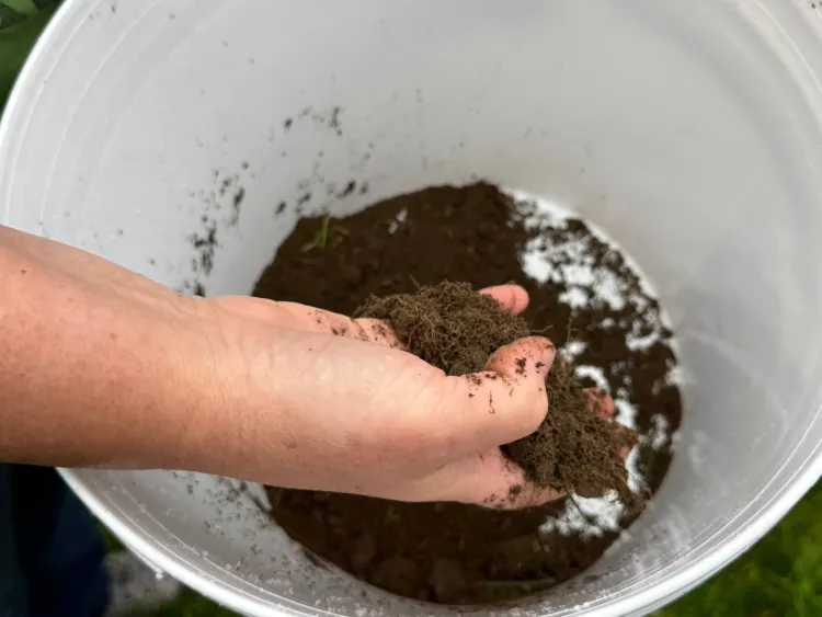 A light-skinned hand holds soil in a white bucket.