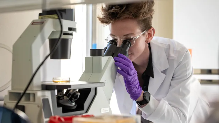 Professor Kaitlin McCreery views a tissue sample under an optical microscope located in her bioengineering lab in Votey Hall.