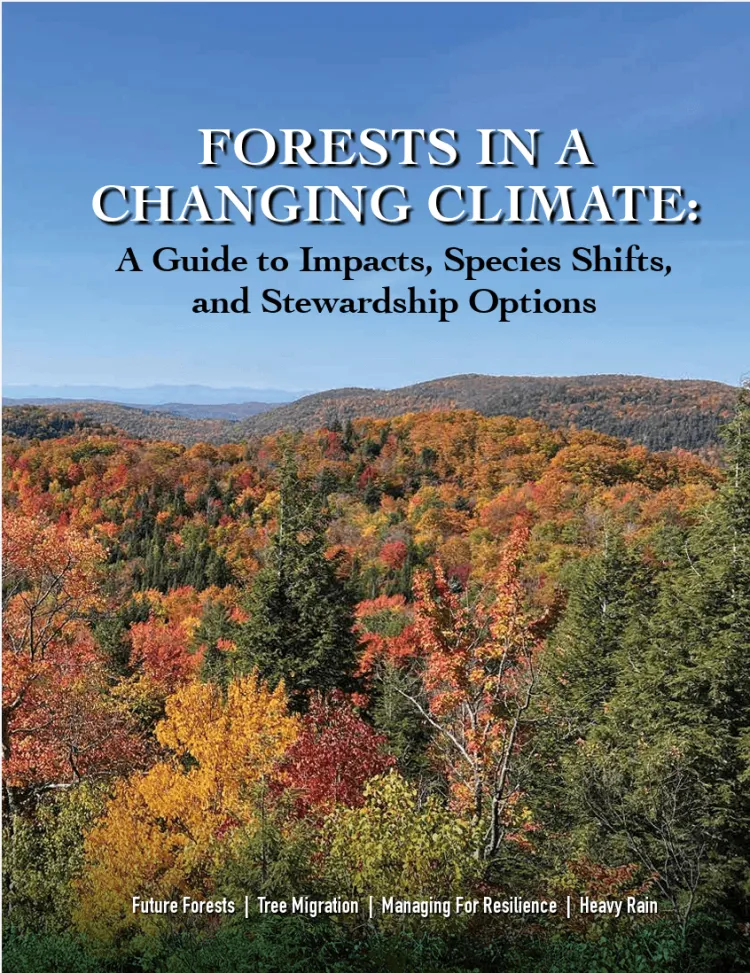 The cover of a publication with multicolored fall foliage on the bottom half and clear blue sky on the top half.