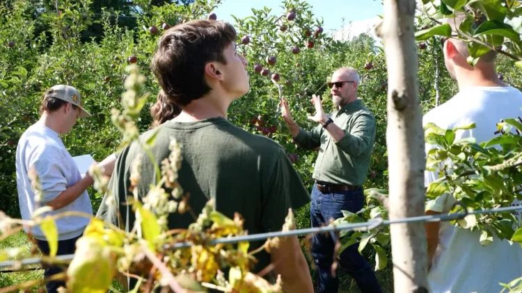 A faculty member discusses apples in the orchard with his students