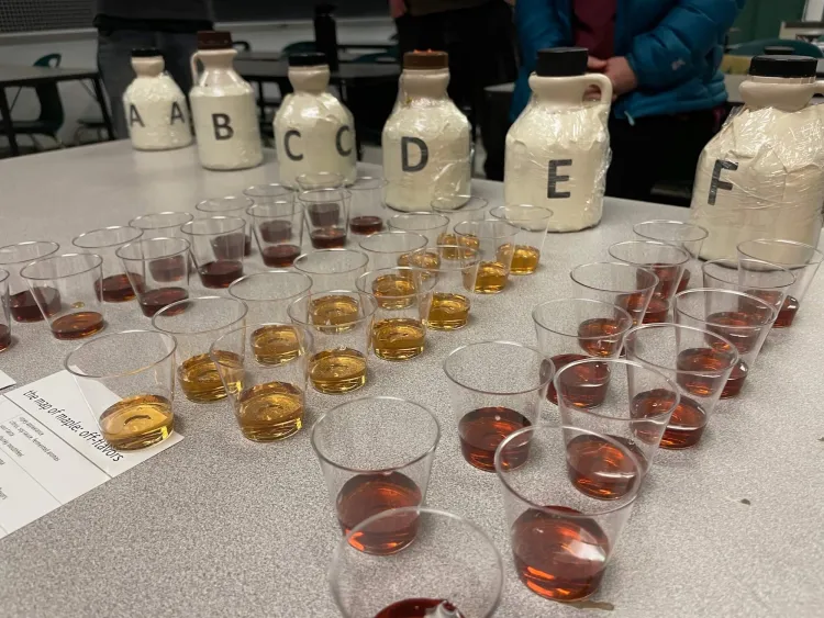 A table with old-fashioned maple syrup jugs with letters A through F labeled on them, and small plastic cups with different colored syrups in front of them.
