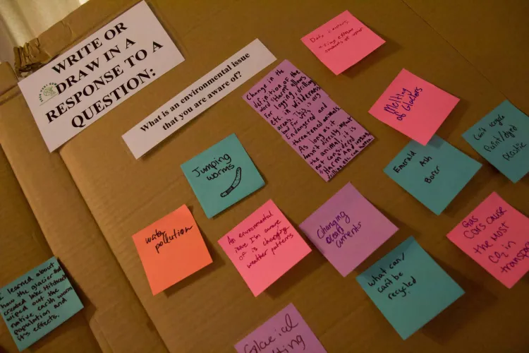 A set of pink, purple, blue and orange post-its on a cardboard surface. The post-its have answers to the question: what is an environmental issue that you are aware of?