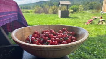 wooden bowl of tomatoes