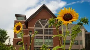 Davis Student Center with Sunflowers in the forefront 