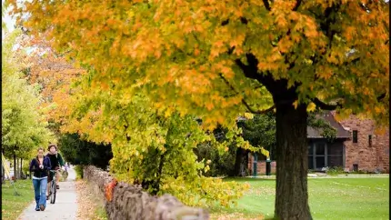 Students walk down a concrete path beside a stone  barrier. In the forground is a large tree with yellow and light green foliage.