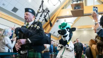 person in kilt playing bagpipes followed by a funny cow mascot in a doctors coat and green cowboy hat