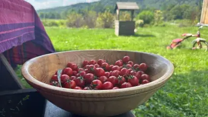 a bowl of tomatoes with a mountain in the background