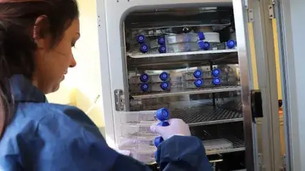 scientist using incubator 