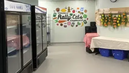 Rally Cat's Cupboard