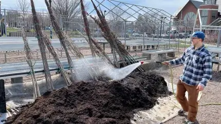 student using a hose to water roots of unplanted trees