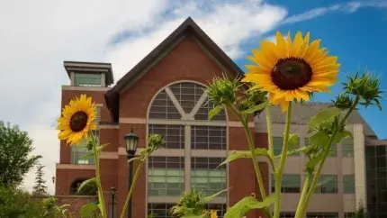 Davis Student Center with Sunflowers in the forefront 