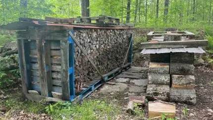 Stacked fire wood of different sizes