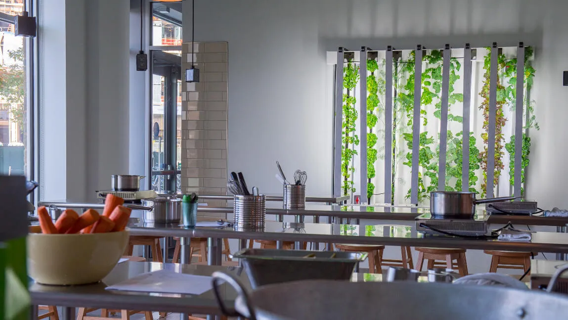 A teaching kitchen on the UVM campus.