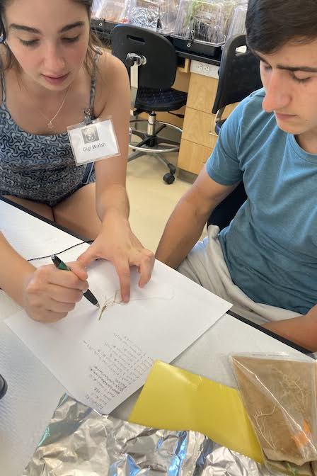 two students seated at a table while one teaches the other about plant roots
