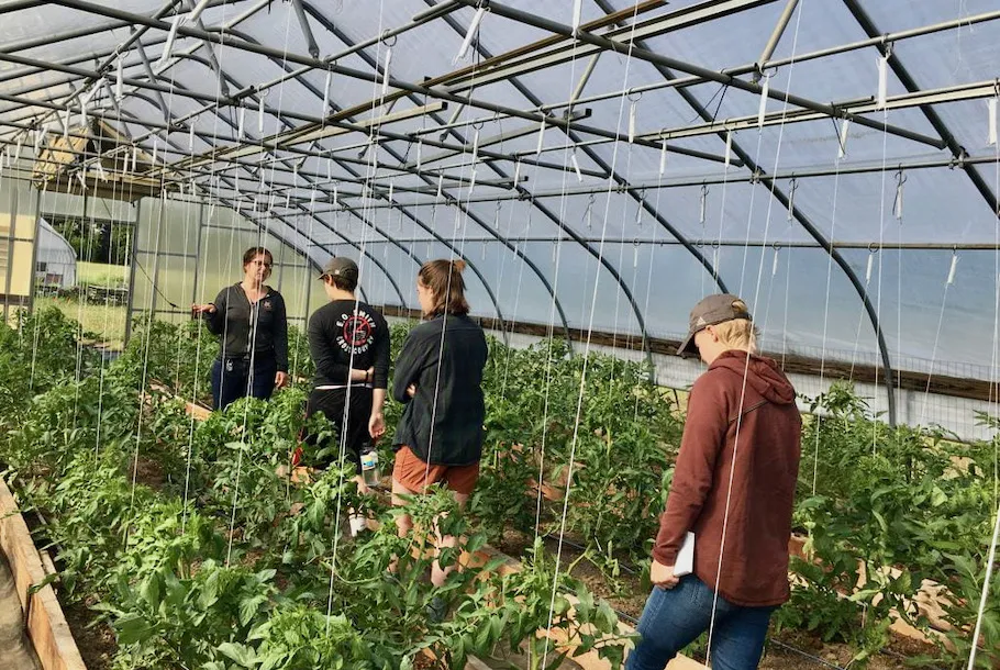 four people walking through a greenhouse