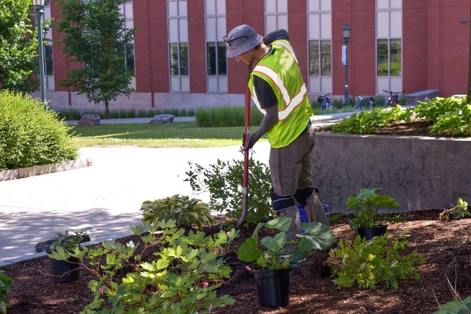 a person in a yellow reflective vest uses a shovel to dig a hole in a flowerbed