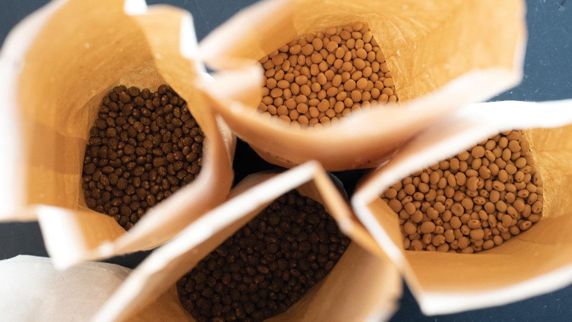 three burlap bags of brown seeds photographed from above