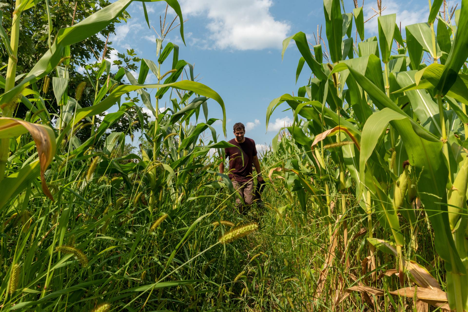 Joshua Brown leads UVM's climate adaptation program for Extension
