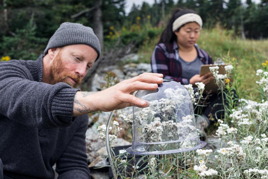 Sarah Socia and OVR Technology CEO Aaron Wisniewski are wildflower aroma