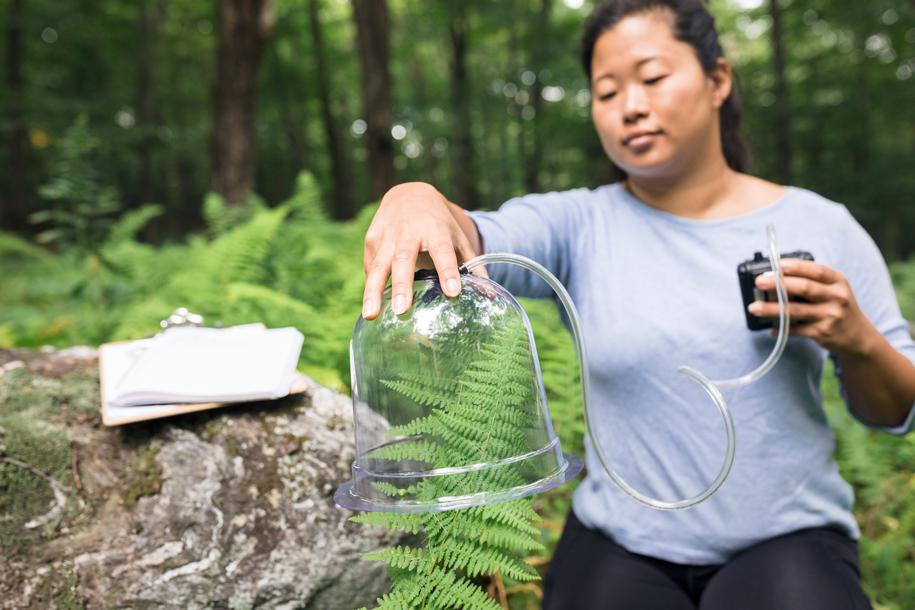 Sarah Socia captures the smell of fern in a forest with a scientific contraption