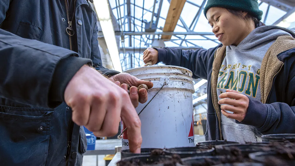 People planting seeds in buckets 