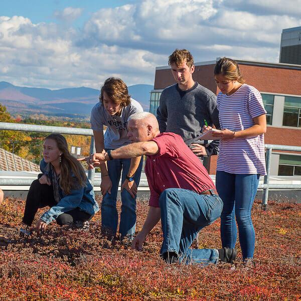 Students and a faculty member cultivate Aiken's green roof.