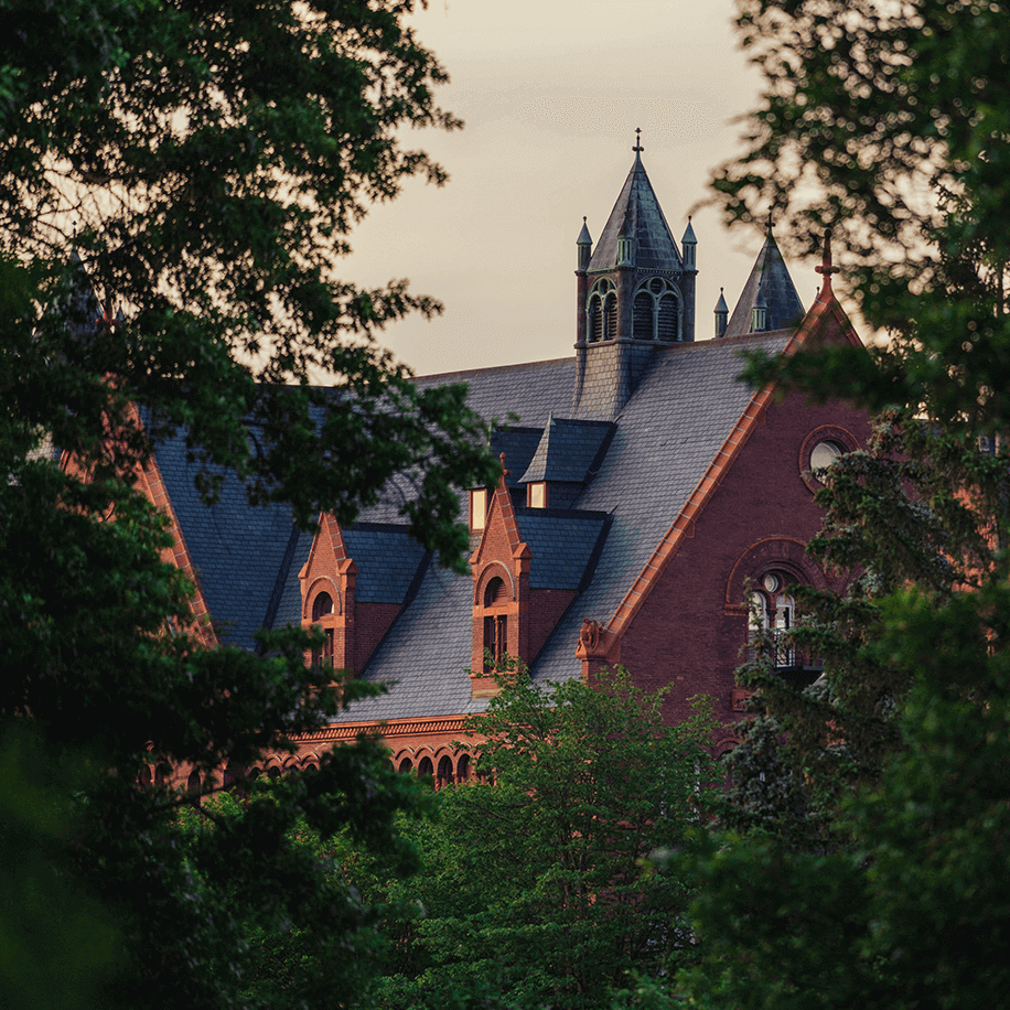 Classic campus building viewed though the trees.