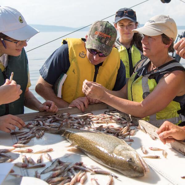 Students and faculty examine a fish on research boat.