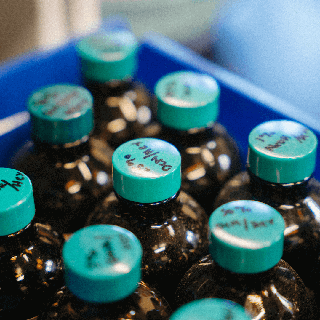 bottles of liquid in a blue tub