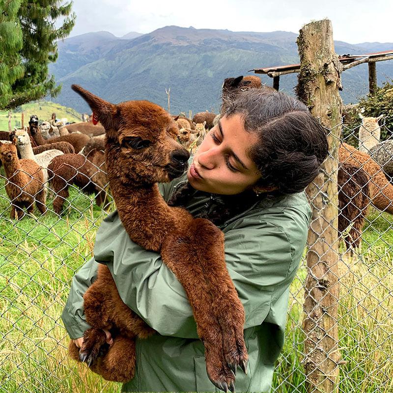 a person holds a baby llama in front of a mountain range