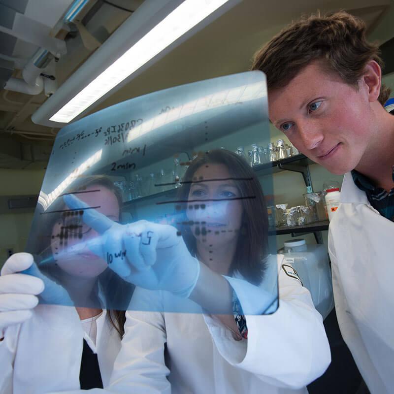 three people view data on a transparent sheet