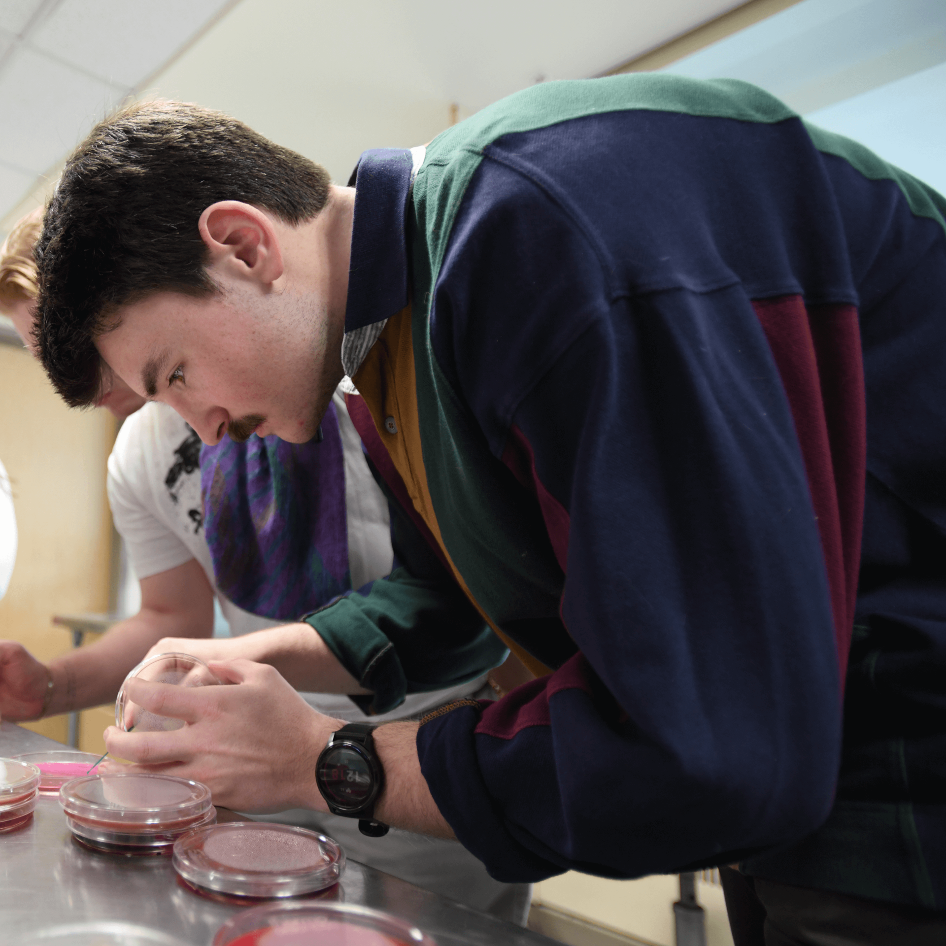 student does a bacteria experiment in a lab 