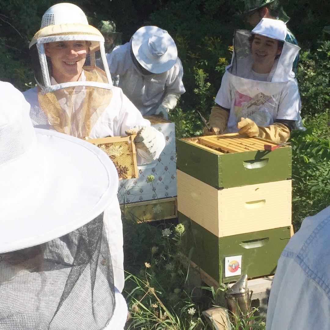 Beekeepers working their hives